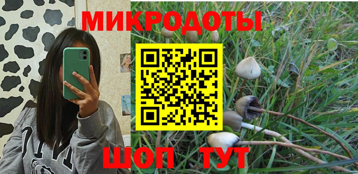 Псилоцибиновые грибы ЛСД  Вход с VPN  Галлюциногенные грибы ЛСД  как найти   Симферополь 