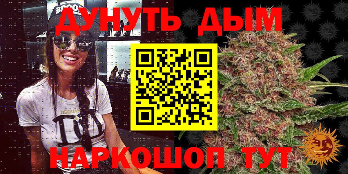 Бошки Шишки планчик Симферополь